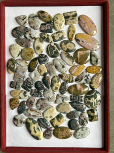 Natural Ocean Jasper Loose Gemstone Cabochon Mezcla Forma y Tamaño Multi-Color 10-40mm Lote para la fabricación de joyas - Product Image 3