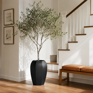 Maceta Alta y Profunda de Fibra de Vidrio de Ocho Lados, Color Negro Intenso, para Plantas <span class=keywords><strong>con</strong></span> Raíces Profundas, como Olivos, <span class=keywords><strong>Palmeras</strong></span> y Bambúes, en Tres Tamaños - Product Image 2