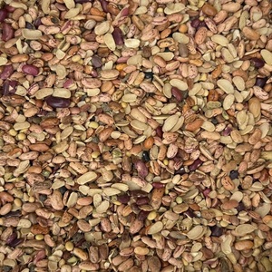 Frijoles Rajma Naturales de la Mejor Calidad, Grado Rejection, Suministro a Granel para Molienda y Uso Industrial, Disponibles a Buen Precio - Product Image 3