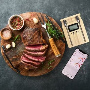 Smart Wireless Meat <b>Thermometer</b> - <b>Probe</b> double single - Product Image 3