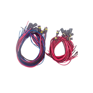 Arnés de cables automotriz con conectores de la serie Superseal 1,8 para cableado de automóviles 1 2 3 4 5 6 pines - Product Image 4