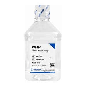 Agua de Grado Biológico Molecular BANDIO 500ml de Alta Pureza Libre de DNase/RNase de Corea para Experimentos de Laboratorio de ADN/ARN - Product Image 2