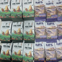 Café Robusta en Grains 250g Tendance – Goût Intense et Pur, Doux et Amertume Légère – Directement de la Boutique