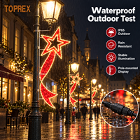 TOPREX Weihnachten 2D LED Stern-Motiv-Licht für Außenbereich Straßenlaterne Plaza Hotel und Kommerzielle Feiertagsdekoration
