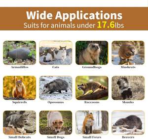 Trampa de jaula de alambre de metal Live Life, cebo para gatos salvajes para <span class=keywords><strong>mascotas</strong></span> pequeñas y <span class=keywords><strong>grandes</strong></span> para animales pequeños - Product Image 6