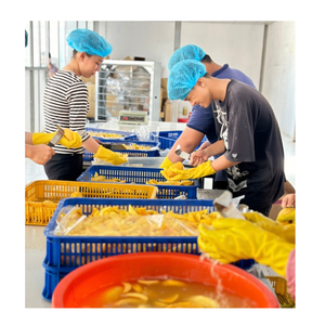 Morceaux de mangue surgelés individuellement pour la vente en gros et la distribution commerciale - Product Image 5