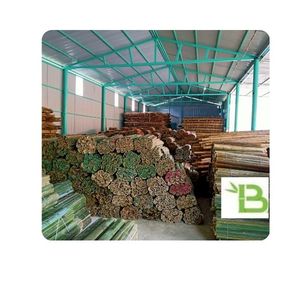 [Bamboo Trung Son Gem Le] Palitos de Bambú Modernos de 26 Pulgadas para Estructuras de Cometas, Uso en Jardines/Barreras contra Malezas, Hechos en Thanh Hoa - Product Image 1