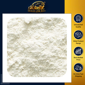 Poudre d'ail pure, naturelle, déshydratée, épice de haute qualité, qualité alimentaire, vente en gros, distribution en vrac - Product Image 2