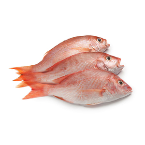 Pargo Rojo Entero Congelado Fresco, Precio de Mercado, Vida Útil de 2 Años - Product Image 2