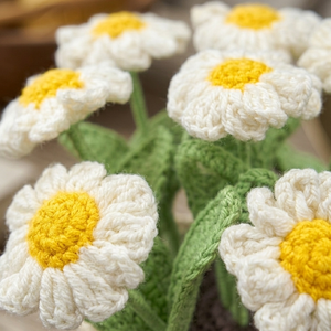 Handmade Crochet <b>Daisy</b> Flower Pot Amigurumi Knit <b>Daisy</b> Decoration With Knitted Yarn For Home Decor Or Office Desk Decor <b>Gift</b> - Product Image 2
