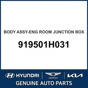 Elantra New Other <b>Car</b> & Truck Parts & <b>Accessories</b> 919501H031 - Product Image 1
