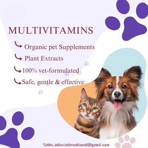 Compléments multivitaminés bio premium à croquer avec probiotiques 4B pour chiens et chats – Vitamines et minéraux complets pour la croissance, la santé de la peau et du pelage, et l'immunité - Product Image 6