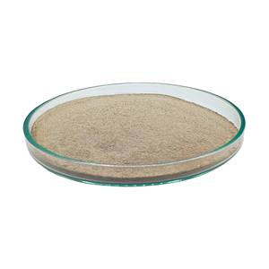 Extracto de Kaempferia Parviflora en Polvo, 15% DMF, Cultivo Silvestre, Marca KMP, Tailandia, Venta al Por Mayor - Product Image 5