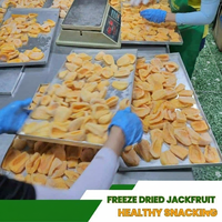 Hoogwaardige biologische gevriesdroogde jackfruitplakjes, gedroogd, knapperig, licht, 100% jackfruit, natuurlijk zoet, exportkwaliteit, bulk, vacuüm verpakt
