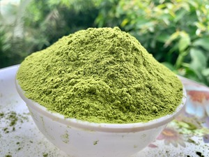 Poudre de Moringa indienne |   Poudre de feuilles naturelle biologique pour la vente en gros, l'approvisionnement en vrac, les marques privées et le commerce international - Product Image 1
