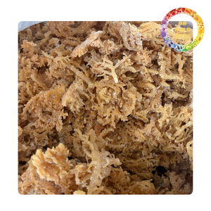 Musgo marino seco de Vietnam disponible para importadores de alimentos al por mayor |   Bueno para la salud - Product Image 4