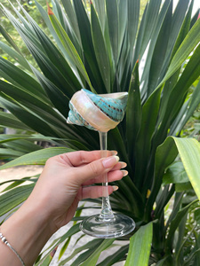 คอลเลคชั่นใหม่ 2026 แก้วไวน์เปลือกหอย ดีไซน์คลาสสิก ทำมือ เป็นมิตรกับสิ่งแวดล้อม เหมาะสำหรับห้องรับประทานอาหารหรูหรา ห้องครัว โรงแรม และบ้าน - Product Image 3