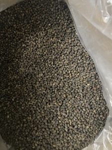 เมล็ดมะละกอแห้งผลิตภัณฑ์เมล็ดพันธุ์ผลไม้เมืองร้อนจากธรรมชาติ - Product Image 6