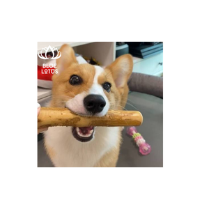 BEST SELLER - Jouet à mâcher pour chien en bois de café, haute durabilité, écologique, durable, soin dentaire, bâton pour animaux de compagnie - Product Image 1
