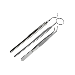 Kit de Examen Dental en Oferta, Juego de 4 Instrumentos de Diagnóstico de Acero Inoxidable, Juego de Herramientas Dentales Profesionales - Product Image 2