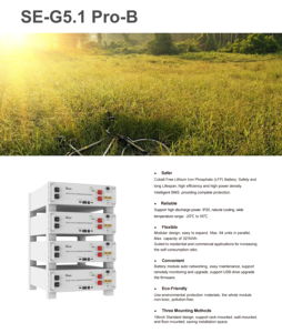 Rack Mounted Deye Best Battery SE-G5.1 Pro-B Lithium Battery Pack 51.2V 100Ah Low Voltage for Solar Inverter System in Stock - Product Image 5