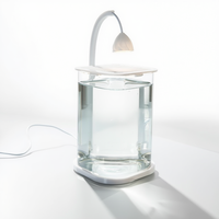 Mini aquarium de bureau en verre transparent avec lumière LED nocturne, alimenté par USB, pour la décoration de salon ou de bureau.