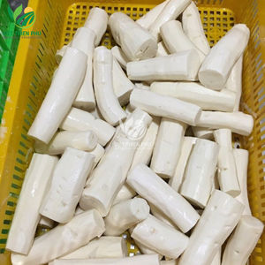 VIET THIEN PHU VIETNAM - Yuca Pelada Congelada, Suministro Directo de Fábrica - Product Image 5