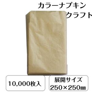 Kyushu Paper Co. Ltd. Servilletas de papel Kraft sin blanquear de 6 pliegues 10.000 hojas 250X250mm Materiales naturales para servilletas de café - Product Image 3