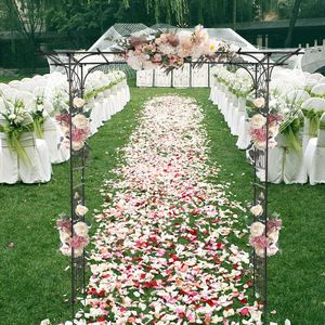 Flat Roof Wrought Iron <b>Wedding</b> Arch Plant Climbing <b>Frame</b> for Outdoor Decor - Product Image 2