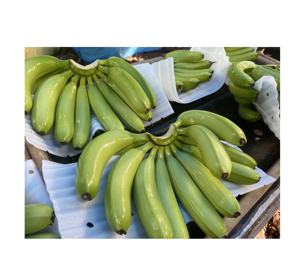 Asia Farm Factory Agriculture <b>Fresh</b> Green Cavendish Bananas 13kg Carton with Custom Export Label for Worldwide - Product Image 5