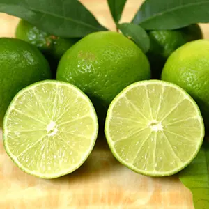 Fresh Seedless lemon/ lime from Vietnam season fresh fruit cheap price - Whatsapp 0084 989 322 607