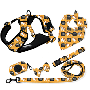 キューバリンクカラーとすべての豪華なセットフレンチブルドッグベルベット猫プライベートラベル犬用ハーネスを1つの犬の鎖に - Product Image 4