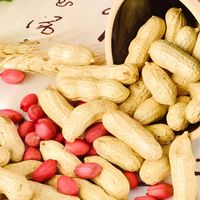 Arachides fraîches biologiques crues séchées saveur originale arôme lacté sac de 25 kg vente en gros