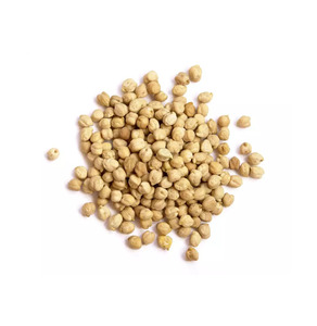 Garbanzos Desi Marrones Estándar Ricos en Proteínas para la Elaboración de Productos a Base de Plantas - Product Image 4