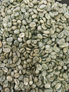 Venta al por Mayor de Granos de Café Verde Arábica Orgánico de Vietnam, Certificado USDA e ISO 22000, Tamaño 18, Grado AA+, Solo 0.1% de Granos Negros Rotos, TNFOOD - Product Image 5