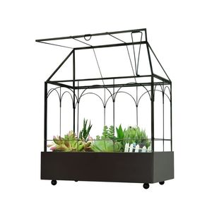 Juego de terrarios modernos de metal y vidrio personalizados en color negro para plantas de interior, suculentas, plantas aéreas y terrarios DIY. - Product Image 5