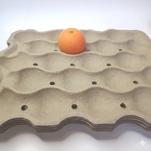 Plateau de présentation de fruits vintage éco-responsable, design carré moderne, en matériau de pulpe moulée, avec poignée ergonomique - Product Image 1