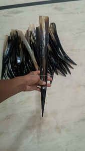 Haute qualité 50 cm de long noir et blanc Ox Buffalo Shoe Horn Style animal poli et élégant - Product Image 4