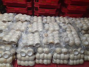Carne de Coco Joven Desmenuzada Congelada Lista para Usar, Pulpa Fresca, Proceso IQF, Envasado al Vacío 1kg - Para Panaderías, Tiendas de Postres, Bebidas - Caryln - Product Image 4