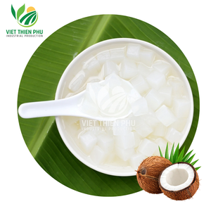 Nata de Coco Premium Frutal, Gelatina de Coco, Bolsa a Granel, Grado de Exportación, Vietnam - Product Image 1