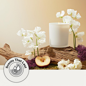 LANJO Custom Scented <b>Candle</b> 26 Oz Soy Wax Jar Black Three <b>Wick</b> Velas Aromatics Indoor Aromatherapy Gift for Women - Product Image 4