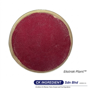 Top Sale Roselle Extract Powder Premium Quality Halal OEM B2B <b>Best</b> Supplier Guarantee Natural Red Color Antioxidant Juice Mix - Product Image 5