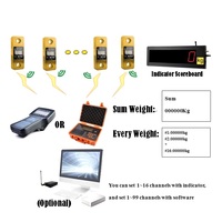 Dynamomètre à cellule de charge pour pont roulant Ningbo Goldshine pour tests de charge