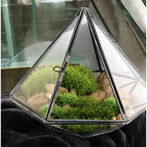 Jarrón de Mesa de Latón con Forma de Diamante, Marco de Color Negro, Diseño Tradicional, Terrario para Exteriores, Decoración para el Hogar, Soporte para Plantas al por Mayor - Product Image 1
