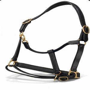 Harnais de cheval en cuir anglais durable avec nezier rembourré doux, quincaillerie en alliage, personnalisable OEM ODM pour concours et usage polyvalent - Product Image 2