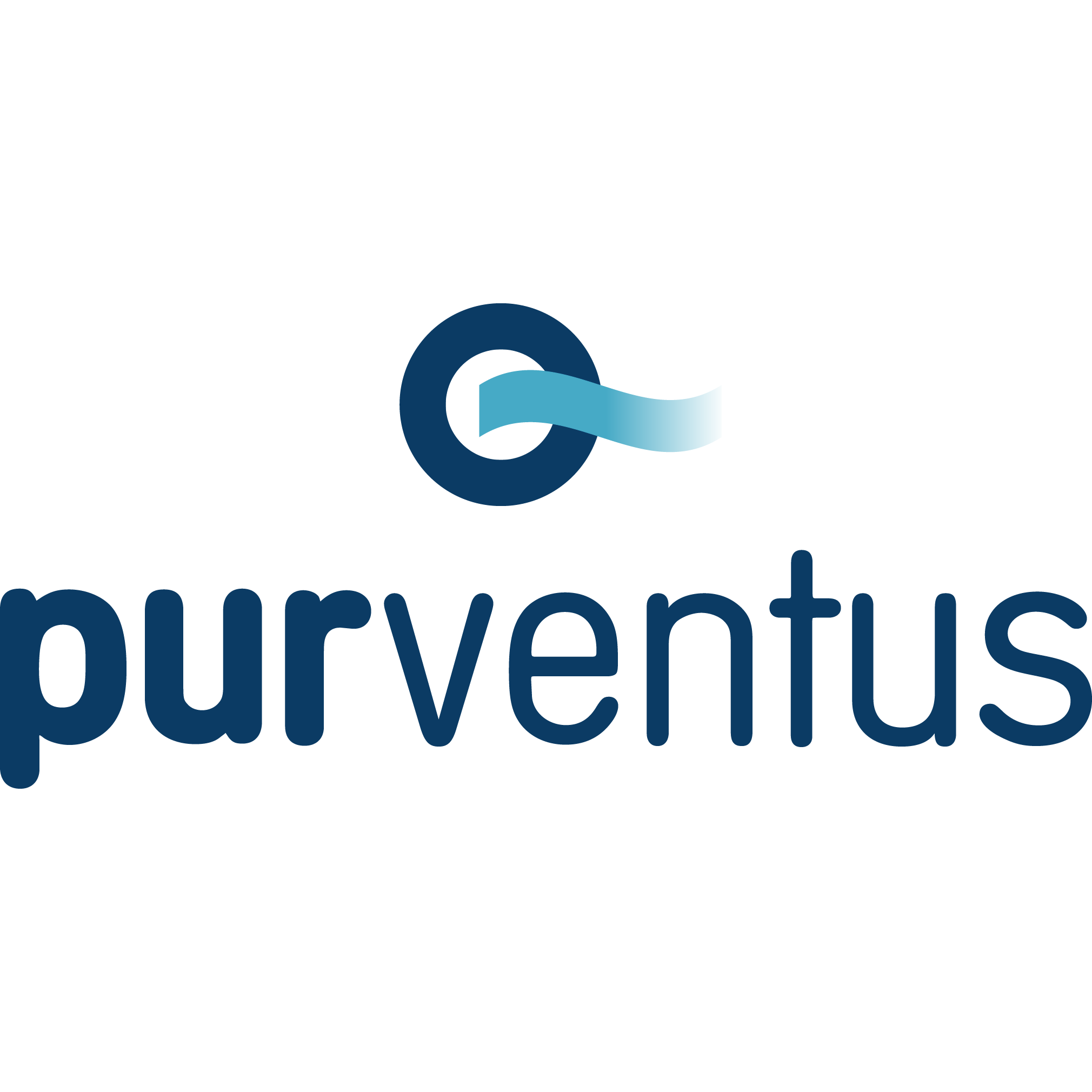 purventus GmbH logo