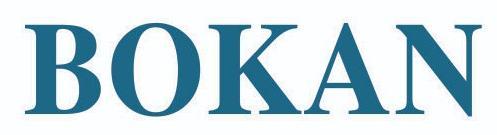 BOKAN FORGE logo
