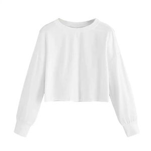 Wholesale Custom Design Stylish Long Sleeve Crew Neck Crop Top Knitted Women's <b>Sweatshirts</b> Custom Logo Colors <b>Leopard</b> <b>Print</b> - Product Image 1