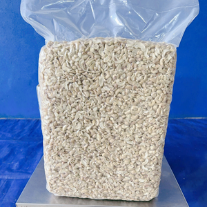 Proveedor Confiable de Anacardos Partidos SANTIGO Kaju Badam, Núcleos de Anacardo Rotos, MOQ Bajo, Empaque Personalizado - Product Image 1