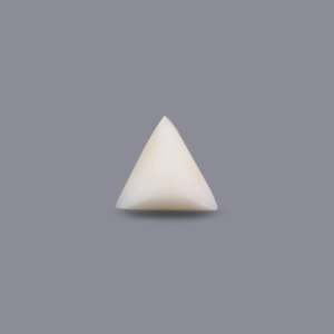 Natural White Coral Oval Cabochon 5.65 Carat Loose Gemstone 7mm Certified Wholesale - Product Image 1